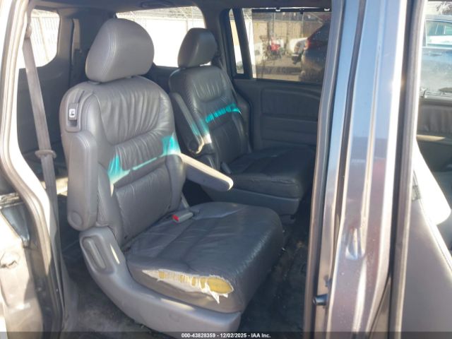 2010 HONDA ODYSSEY 5FNRL3H75AB087639 Photo 7