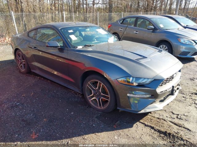 2019 FORD MUSTANG 1FA6P8TH3K5133322
