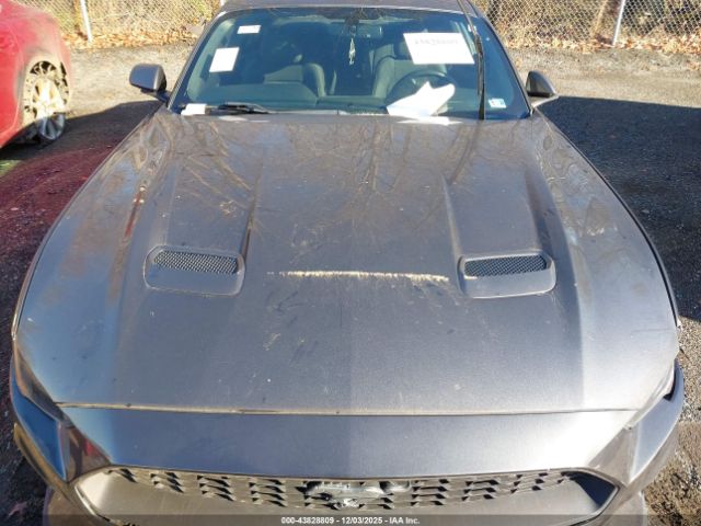 2019 FORD MUSTANG 1FA6P8TH3K5133322 Photo 9