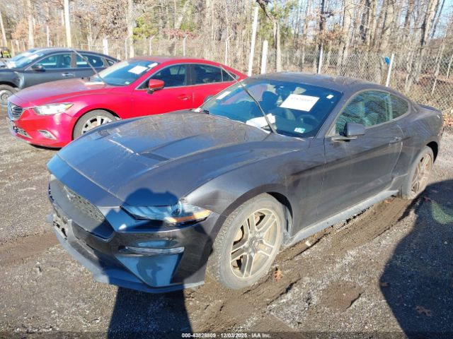 2019 FORD MUSTANG 1FA6P8TH3K5133322 Photo 1