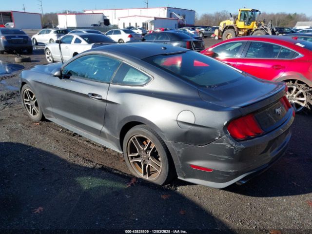 2019 FORD MUSTANG 1FA6P8TH3K5133322 Photo 2