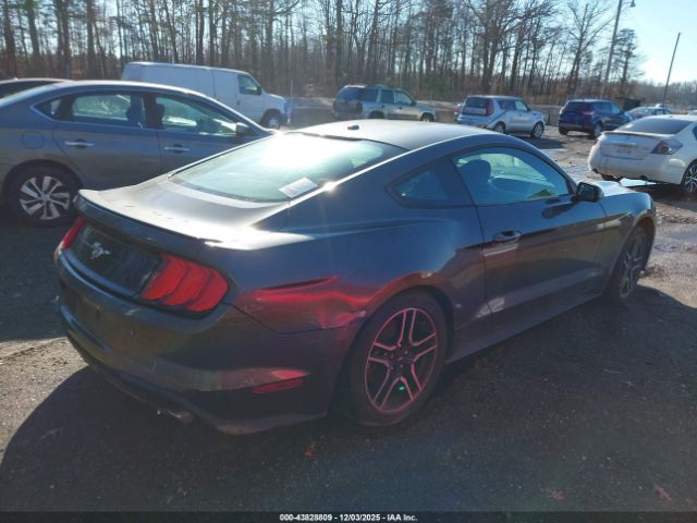 2019 FORD MUSTANG 1FA6P8TH3K5133322 Photo 3