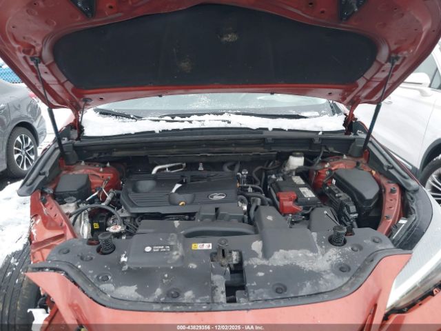 2023 LEXUS NX 250 2T2GDCAZ8PC003435 Photo 9