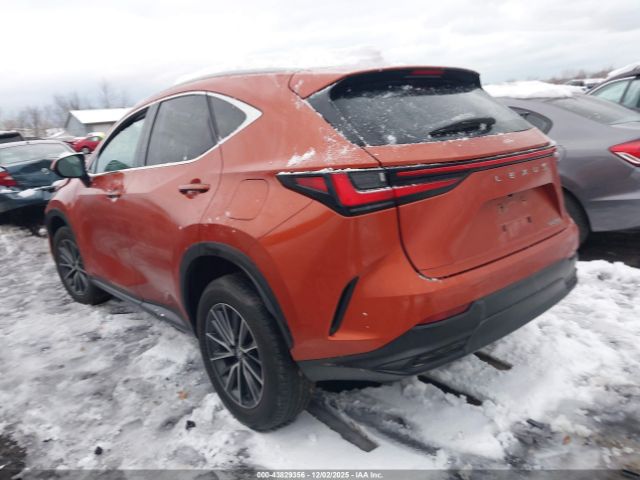 2023 LEXUS NX 250 2T2GDCAZ8PC003435 Photo 2