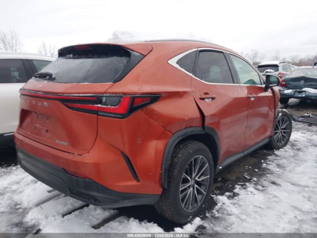 2023 LEXUS NX 250 2T2GDCAZ8PC003435 Photo 3