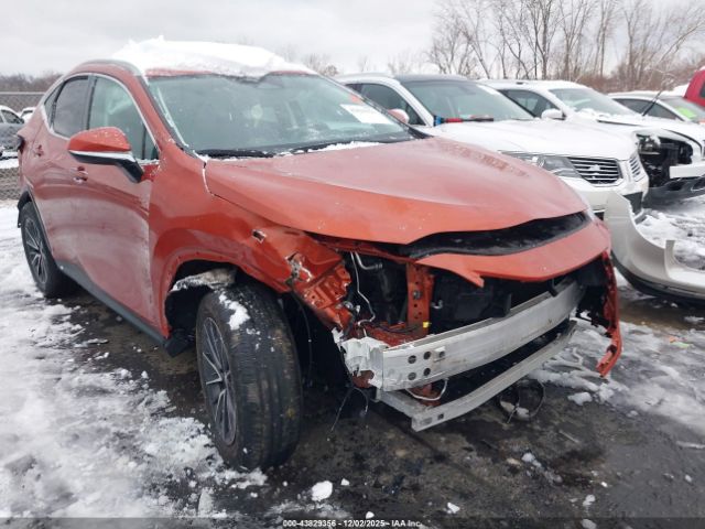 2023 LEXUS NX 250 2T2GDCAZ8PC003435 Photo 5