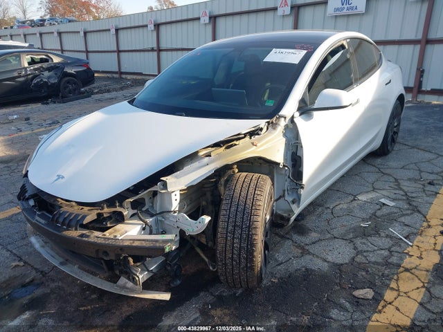 2021 TESLA MODEL 3 5YJ3E1EC5MF050021 Photo 1