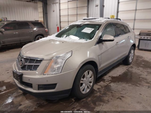 2011 CADILLAC SRX 3GYFNAEY6BS679312 Photo 1