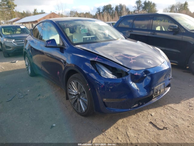 2023 TESLA MODEL Y 7SAYGDEE3PF586332 Photo 0