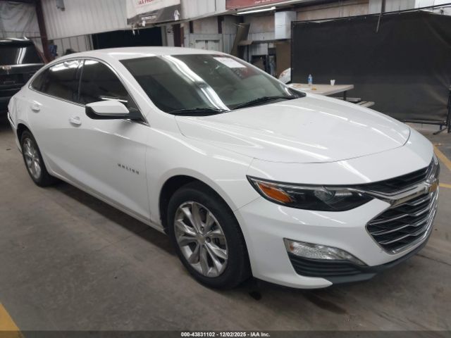 2020 CHEVROLET MALIBU 1G1ZD5ST7LF009790