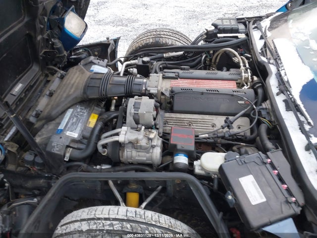 1992 CHEVROLET CORVETTE 1G1YY23P7N5113074 Photo 9