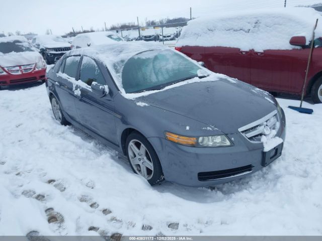 2006 ACURA TL 19UUA66266A061531