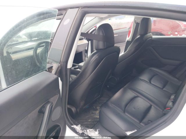 2021 TESLA MODEL 3 5YJ3E1EA8MF094612 Photo 7