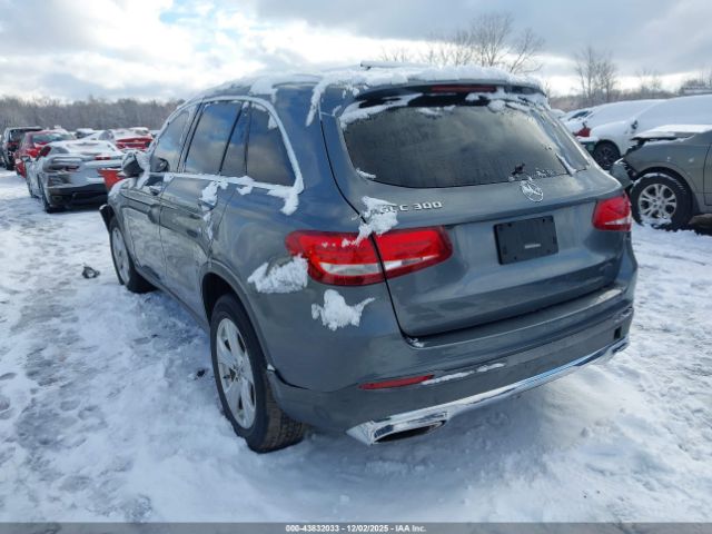 2017 MERCEDES-BENZ GLC 300 WDC0G4JB0HV004058 Photo 2