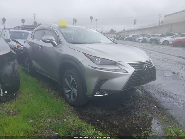 2021 LEXUS NX 300H JTJGJRDZ2M2166312