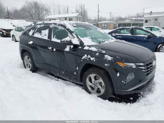 2023 HYUNDAI TUCSON 5NMJBCAE3PH233746
