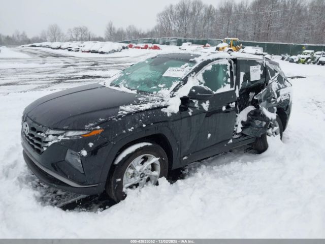 2023 HYUNDAI TUCSON 5NMJBCAE3PH233746 Photo 1