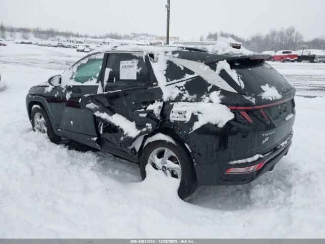 2023 HYUNDAI TUCSON 5NMJBCAE3PH233746 Photo 2