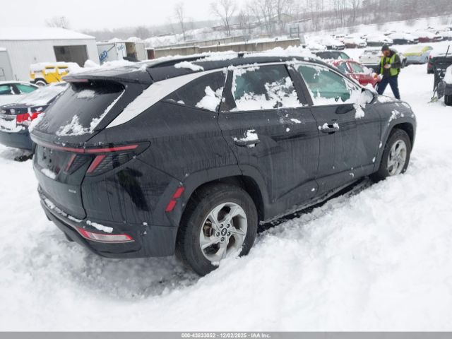 2023 HYUNDAI TUCSON 5NMJBCAE3PH233746 Photo 3