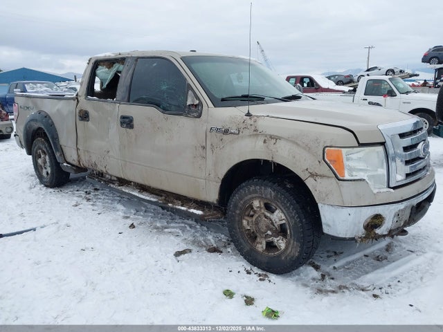 2010 FORD F-150 1FTFW1EV9AFA87852