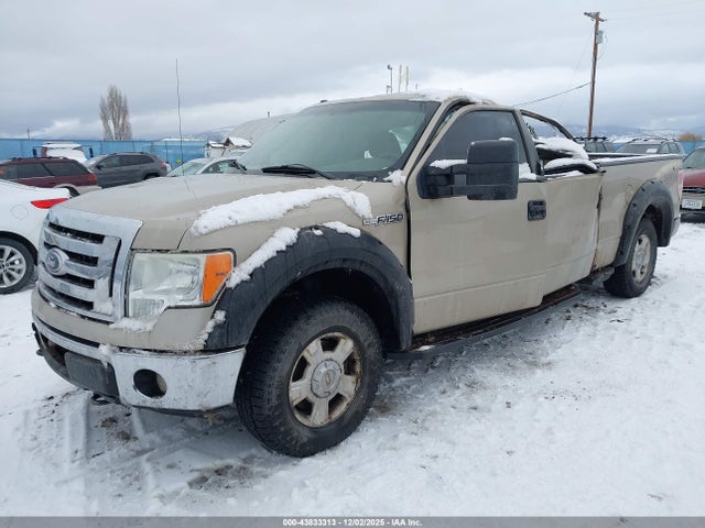 2010 FORD F-150 1FTFW1EV9AFA87852 Photo 1