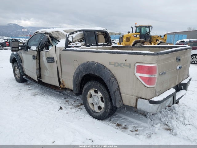 2010 FORD F-150 1FTFW1EV9AFA87852 Photo 2