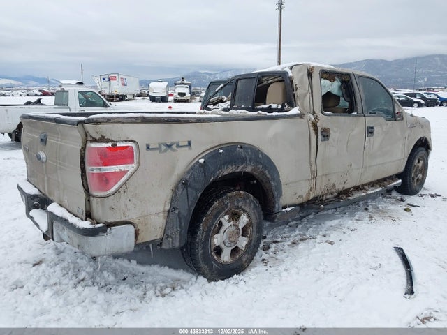 2010 FORD F-150 1FTFW1EV9AFA87852 Photo 3