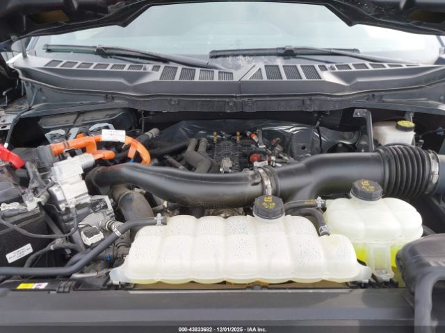 2024 FORD F-150 1FTFW3LD7RFA48419 Photo 9