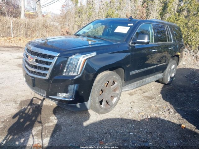 2018 CADILLAC ESCALADE 1GYS4BKJ9JR116769 Photo 1