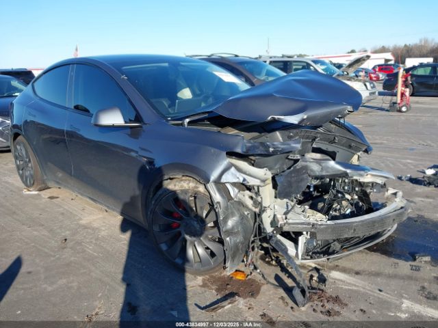 2023 TESLA MODEL Y 7SAYGDEF5PF588771