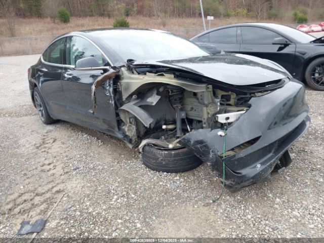 2019 TESLA MODEL 3 5YJ3E1EA4KF189990