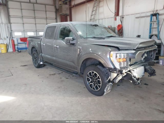 2023 FORD F-150 1FTEW1EP7PFB09384