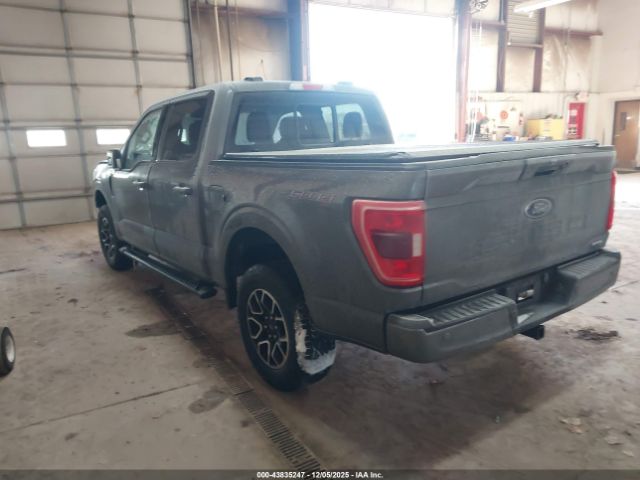 2023 FORD F-150 1FTEW1EP7PFB09384 Photo 2