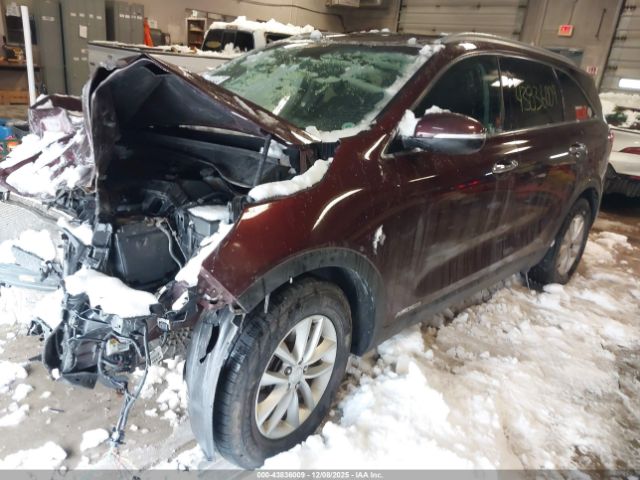 2016 KIA SORENTO 5XYPGDA57GG177371 Photo 1