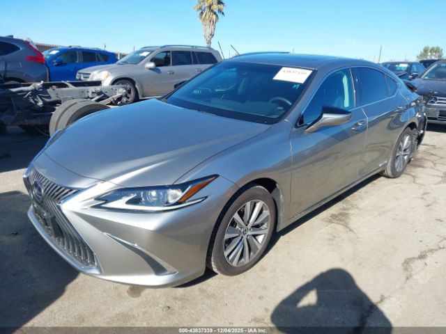 2021 LEXUS ES 300H 58ACA1C12MU007636 Photo 1