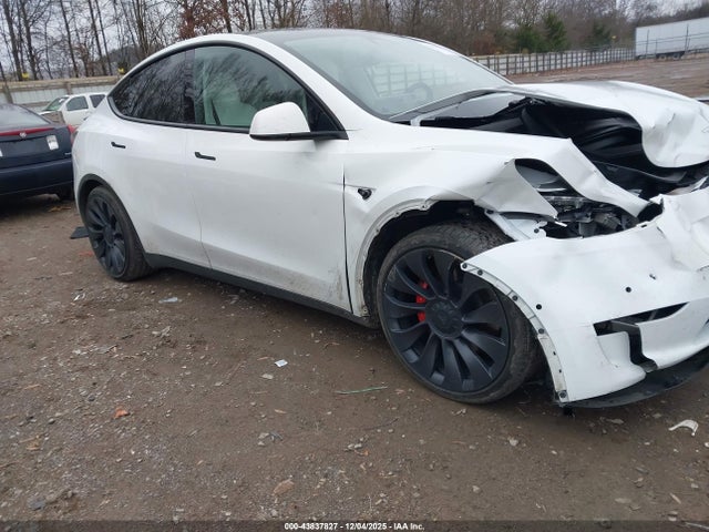 2021 TESLA MODEL Y 5YJYGDEF5MF244057 Photo 0