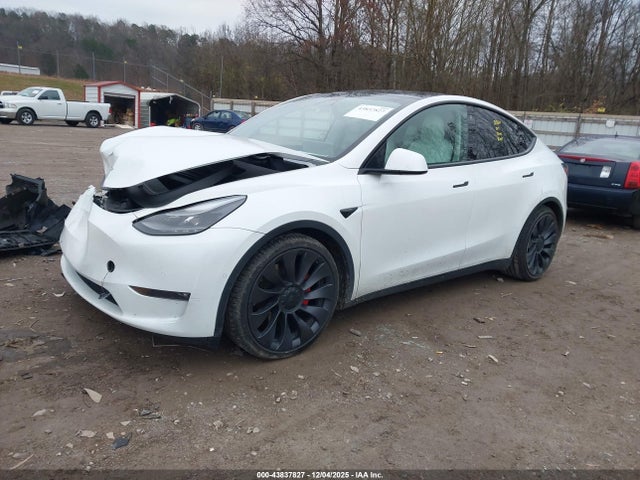 2021 TESLA MODEL Y 5YJYGDEF5MF244057 Photo 1