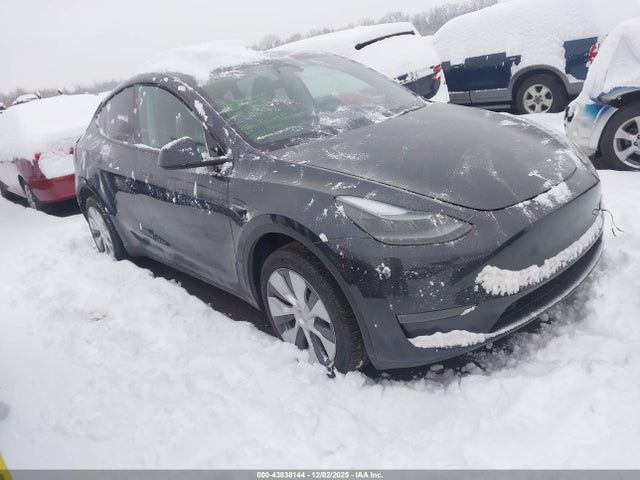 2024 TESLA MODEL Y 7SAYGDEEXRA251052 Photo 0