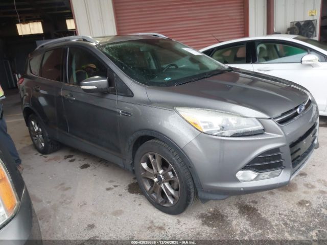 2014 FORD ESCAPE 1FMCU0JX1EUC44099