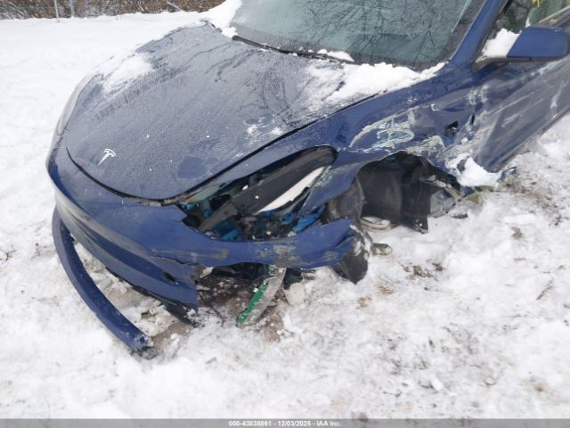 2023 TESLA MODEL 3 5YJ3E1EA6PF686028 Photo 5