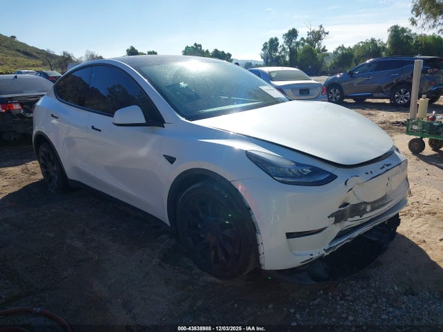 2020 TESLA MODEL Y 5YJYGDEE4LF056037 Photo 0