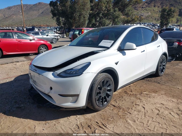 2020 TESLA MODEL Y 5YJYGDEE4LF056037 Photo 1