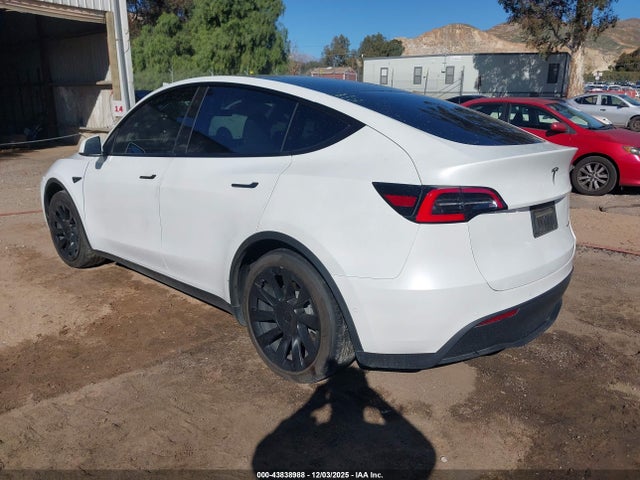 2020 TESLA MODEL Y 5YJYGDEE4LF056037 Photo 2