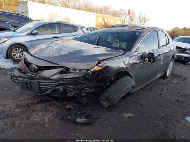 Продаж на аукціоні авто 2024 Toyota Camry Le, vin: 4T1C11AKXRU910269, номер лоту: 43839025