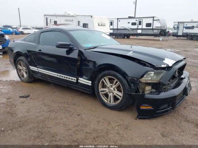 2013 FORD MUSTANG 1ZVBP8AM4D5259164
