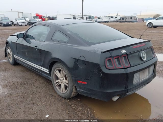 2013 FORD MUSTANG 1ZVBP8AM4D5259164 Photo 2