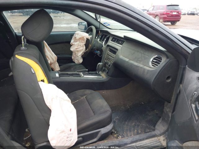 2013 FORD MUSTANG 1ZVBP8AM4D5259164 Photo 4