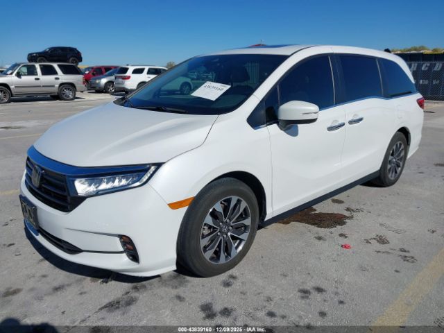 2024 HONDA ODYSSEY 5FNRL6H64RB005050 Photo 1