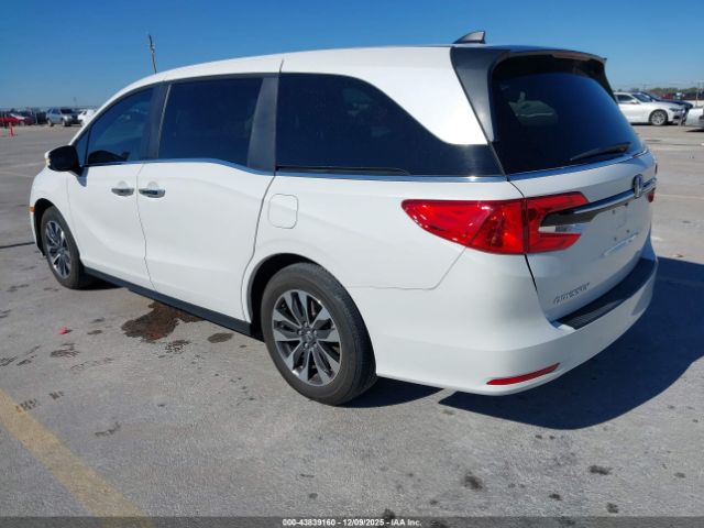 2024 HONDA ODYSSEY 5FNRL6H64RB005050 Photo 2