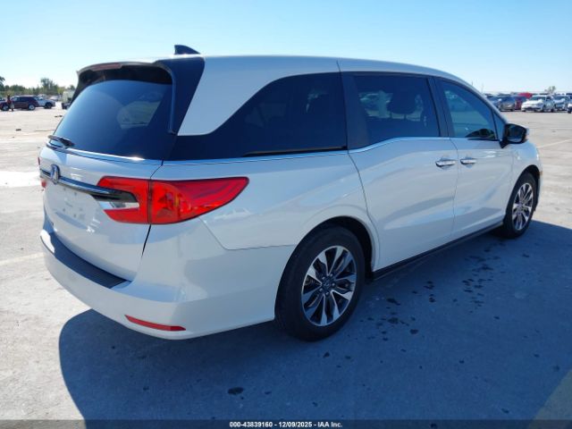 2024 HONDA ODYSSEY 5FNRL6H64RB005050 Photo 3